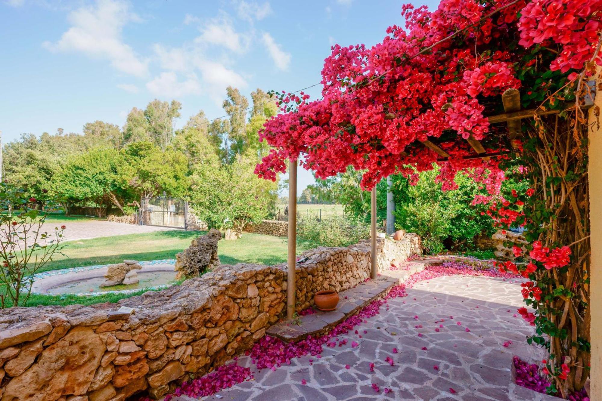 Agriturismo La Genziana Alghero Exterior photo